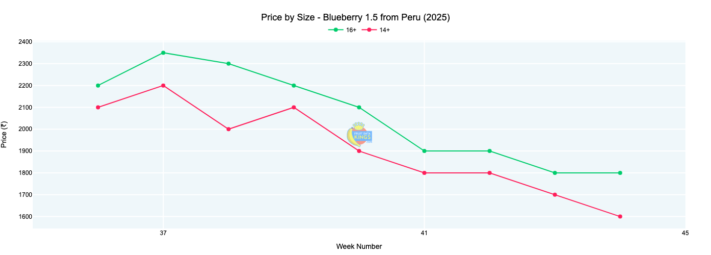 Price by Size in India Wholesale