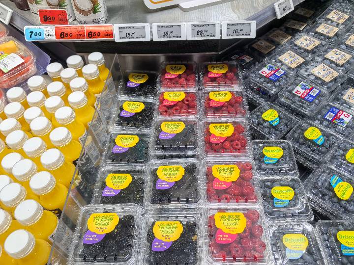 World Blueberry Snapshot