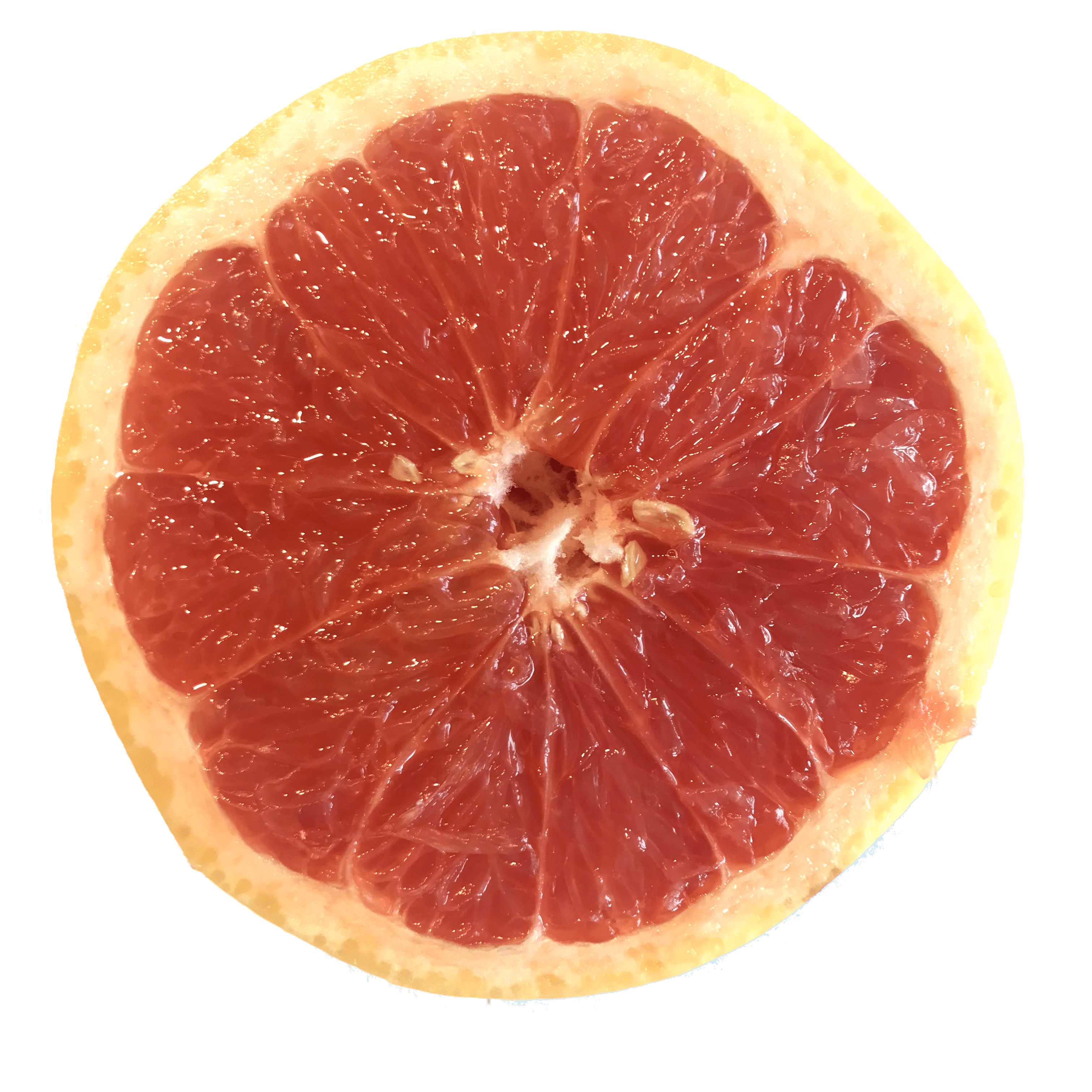 Grapefruit Icon