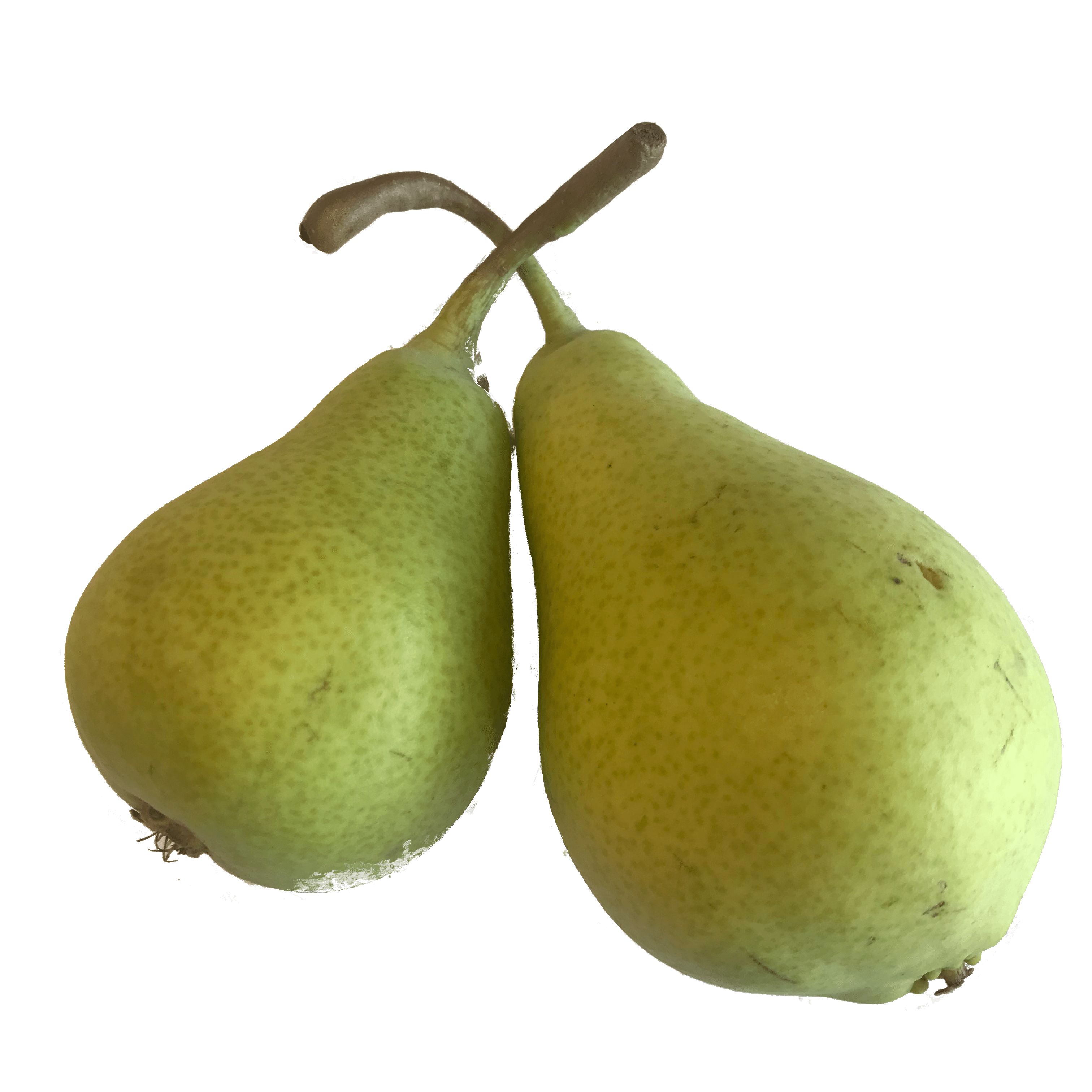 Pear Icon